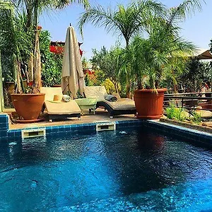 زيارة الفندق